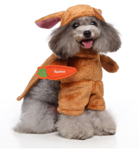 Standing Outfit Funny Dog Clothes | Cosplay Pet Supplies | Pet Outfit